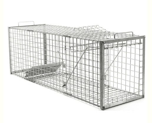 Humane trap